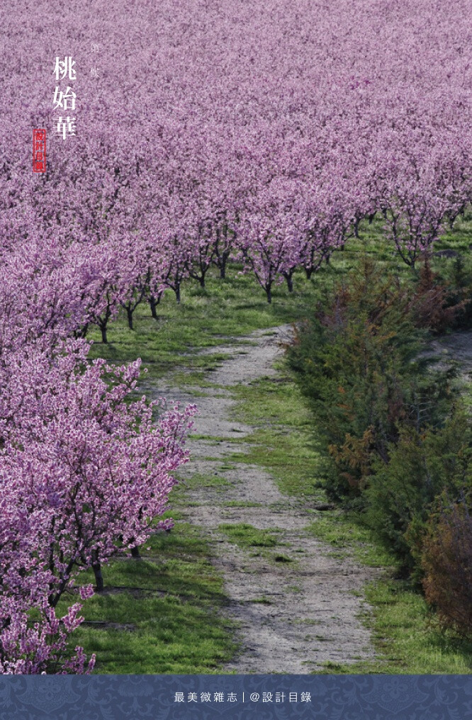 驚蟄 | 是日驚蟄，雷發東隅，潛蟄驚出。此時節，暖風細雨，草木蔓發，鳥蟲鳴啾，步入山徑或弄泉玩石，或漱齒濯足，林澗拾松枝汲山泉，焚妙香煮苦茗最為愜意，與麝犢共臥於松柏豐草間，與鶴雛共舞於百花深處。田間新犁耙田如櫛，農友問桑說麻，同投竿取魚，決渠灌花。待看花繁錦簇時，街巷山渠杏花聲。@设计目录