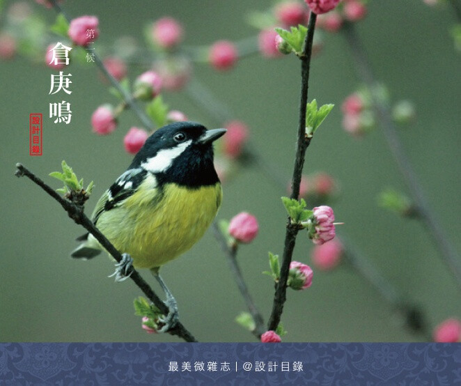 驚蟄 | 是日驚蟄，雷發東隅，潛蟄驚出。此時節，暖風細雨，草木蔓發，鳥蟲鳴啾，步入山徑或弄泉玩石，或漱齒濯足，林澗拾松枝汲山泉，焚妙香煮苦茗最為愜意，與麝犢共臥於松柏豐草間，與鶴雛共舞於百花深處。田間新犁耙田如櫛，農友問桑說麻，同投竿取魚，決渠灌花。待看花繁錦簇時，街巷山渠杏花聲。@设计目录