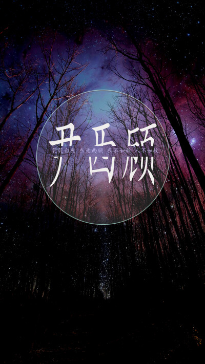 茕茕白兔东走西顾