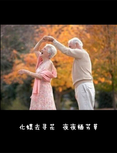 君生我未生 我生君已老