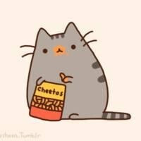 pusheen