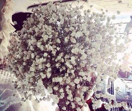 满天星by笑爱人