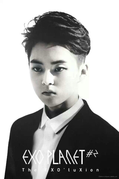 #EXO #EXO-M #金敏锡 #XIUMIN 二巡宣传图