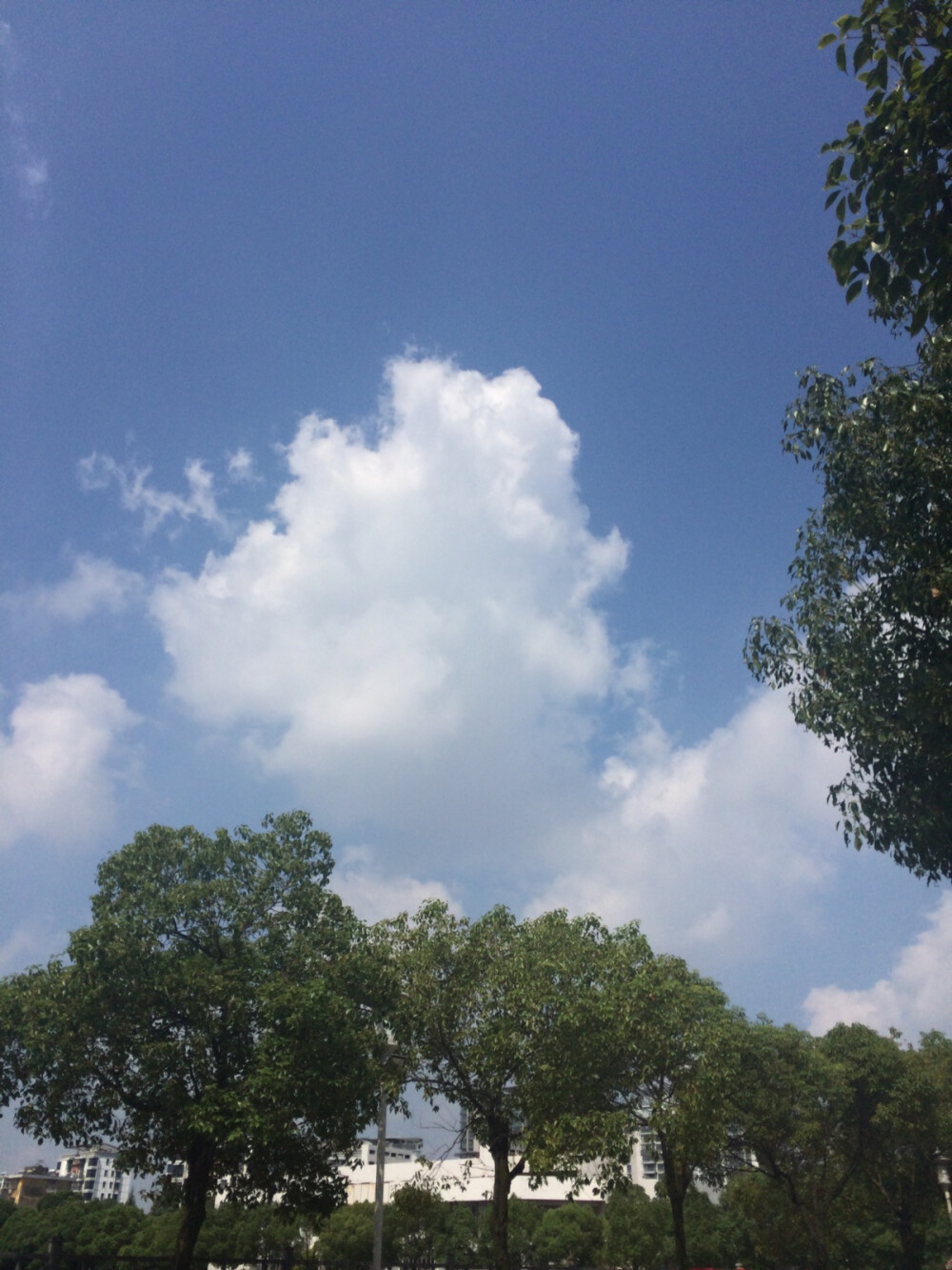 当时抬头看到，只想到了秋高气爽。