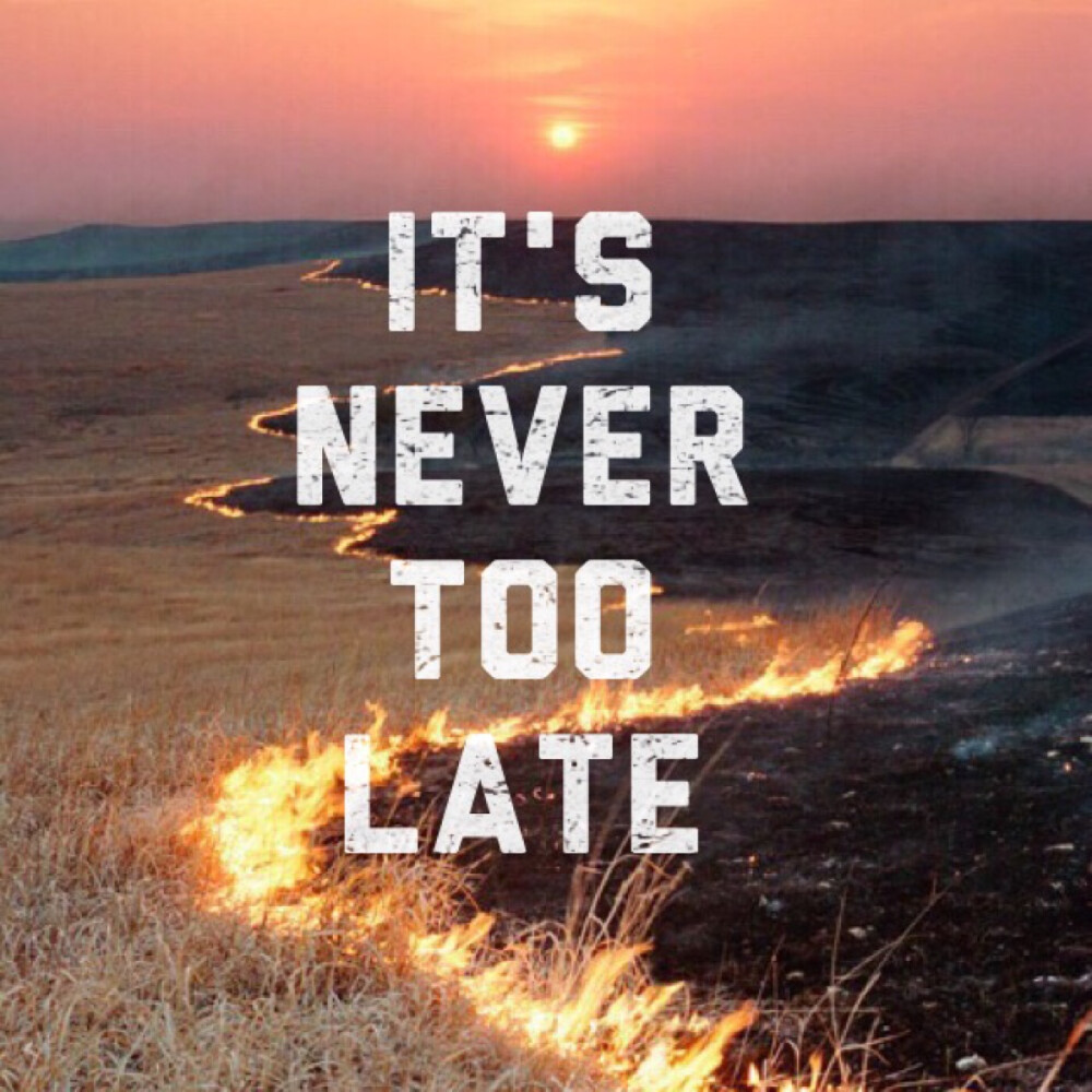 IT'S NEVER TOO LATE