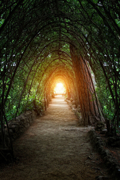Park Güell, Barcelona, Spain (by Carlos Gotay)。西班牙巴塞罗那古埃尔公园(桂尔公园)，公园位于巴塞罗那的拜尔山上（Bare Mountain），可以俯瞰巴塞罗那城区和大海。在这里，高迪把他的惊世天赋从建筑转接到园林…
