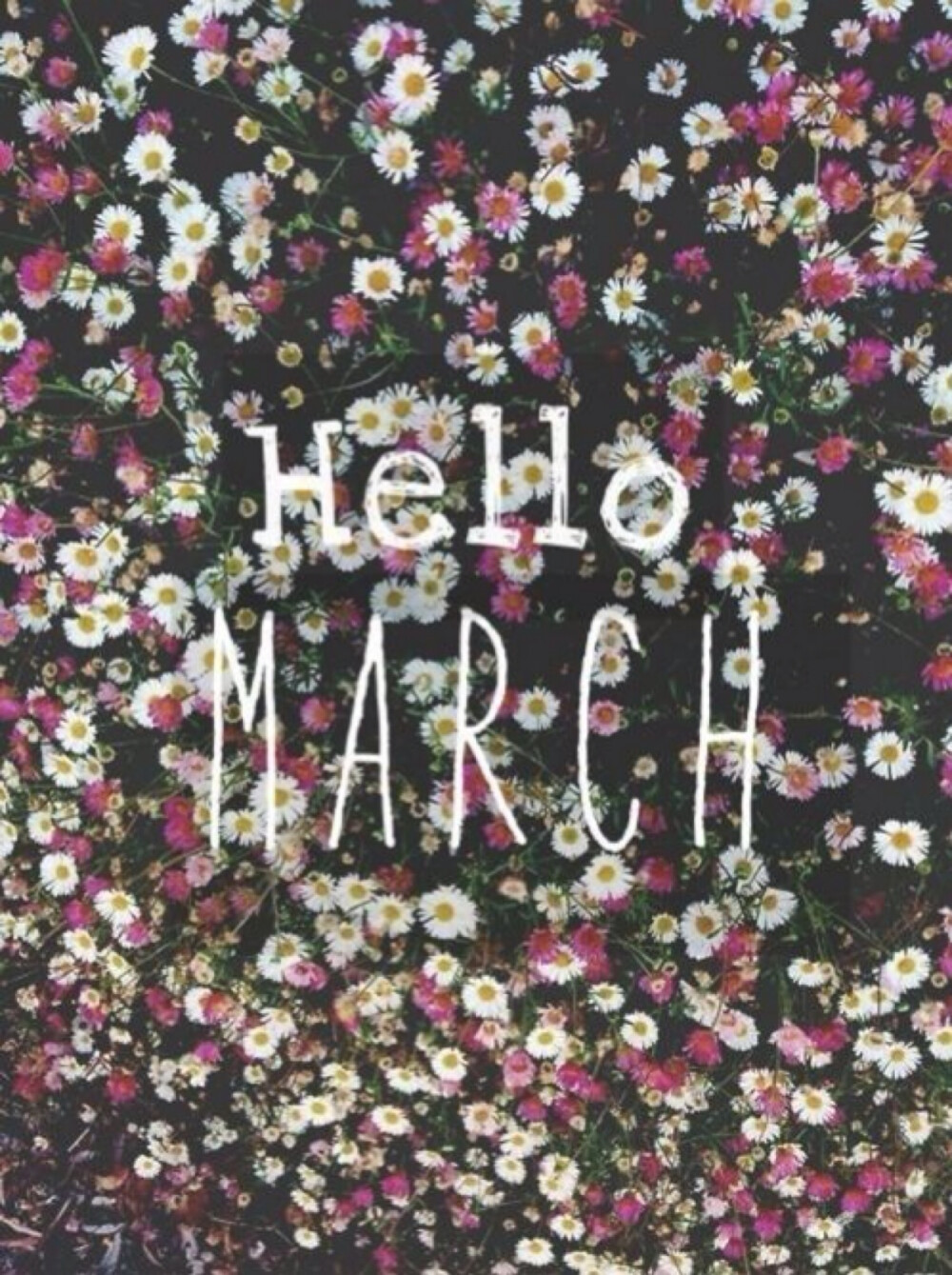 March，oh March~