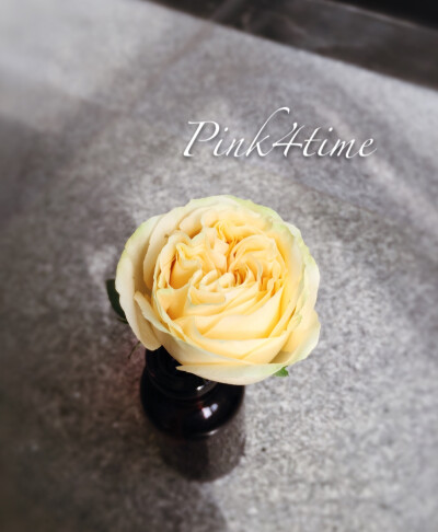 pink4time-翻糖花之香槟玫瑰//创意翻糖、英式糖花、韩式裱花……，有兴趣学习的可微我13882099930……或关注@pink4time-粉si时光