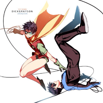 Robin&amp;amp;Nightwing