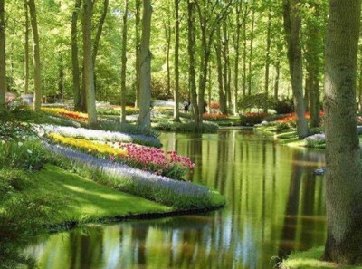 荷兰的库肯霍夫花园