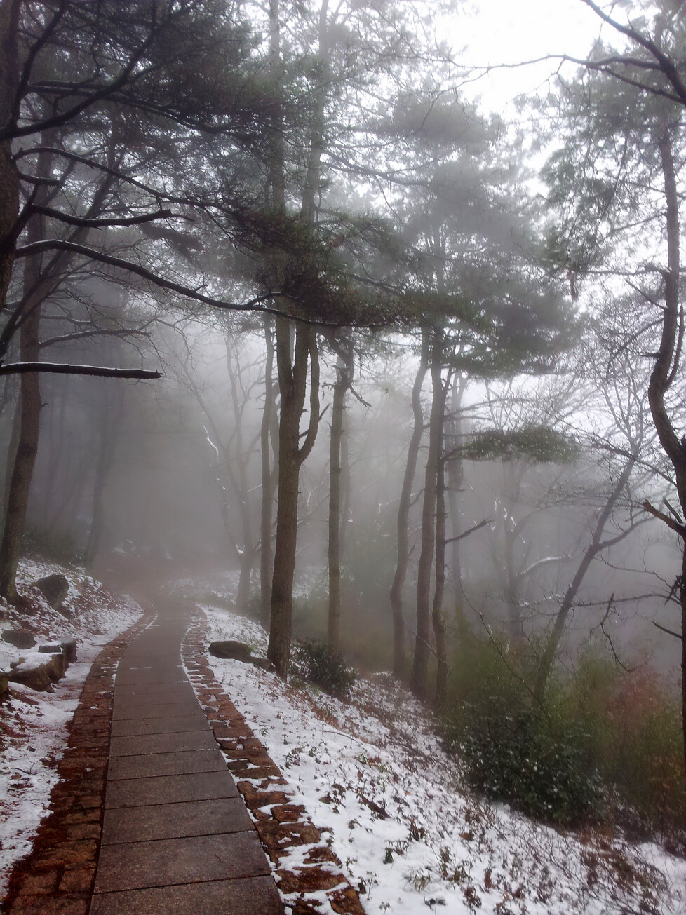 莫干山雪景，跟春雪的邂逅