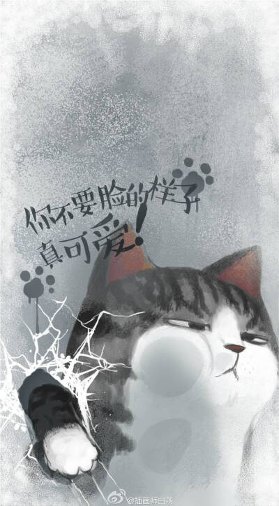 白茶的猫