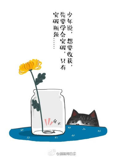 白茶的猫