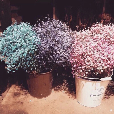 你知道满天星的花语吗？是甘愿做配角.这些年我怀揣对你的爱就像怀揣赃物的盗贼一样,没人知道我爱你.