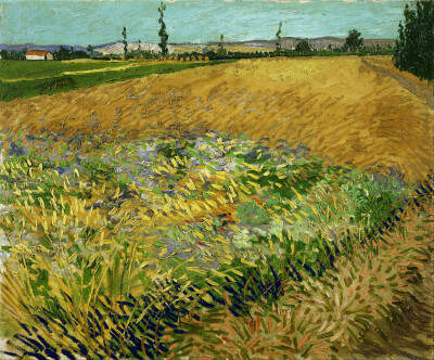 Vincent van Gogh：Wheatfield（Google Art Project）