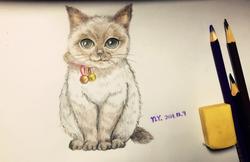 刚刚画的小猫一只～喵