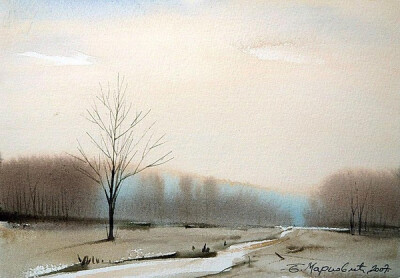 Branislav Marković（塞尔维亚）