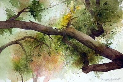 Branislav Marković（塞尔维亚）