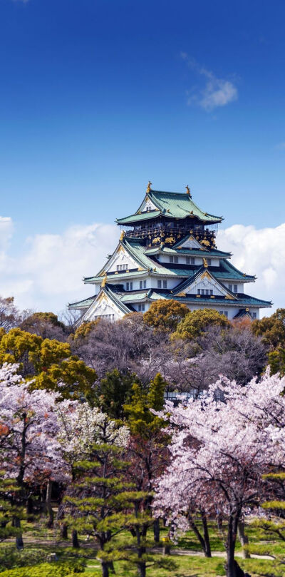 日本弘前镇樱花丨 在日本，花道，亦或称观赏樱花，是春节的传统。三月五月间，日本全国各处相继举行樱花节，吸引世界各地的游客前来欣赏春季的这一美景盛事。