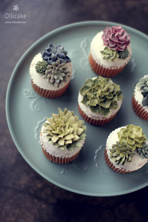 韩式裱花 by ollicake