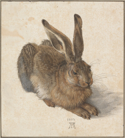 Albrecht Dürer：Hare, 1502（Google Art Project）