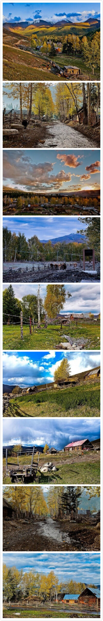 新疆白哈巴村，这里一年四季都像一幅油画。