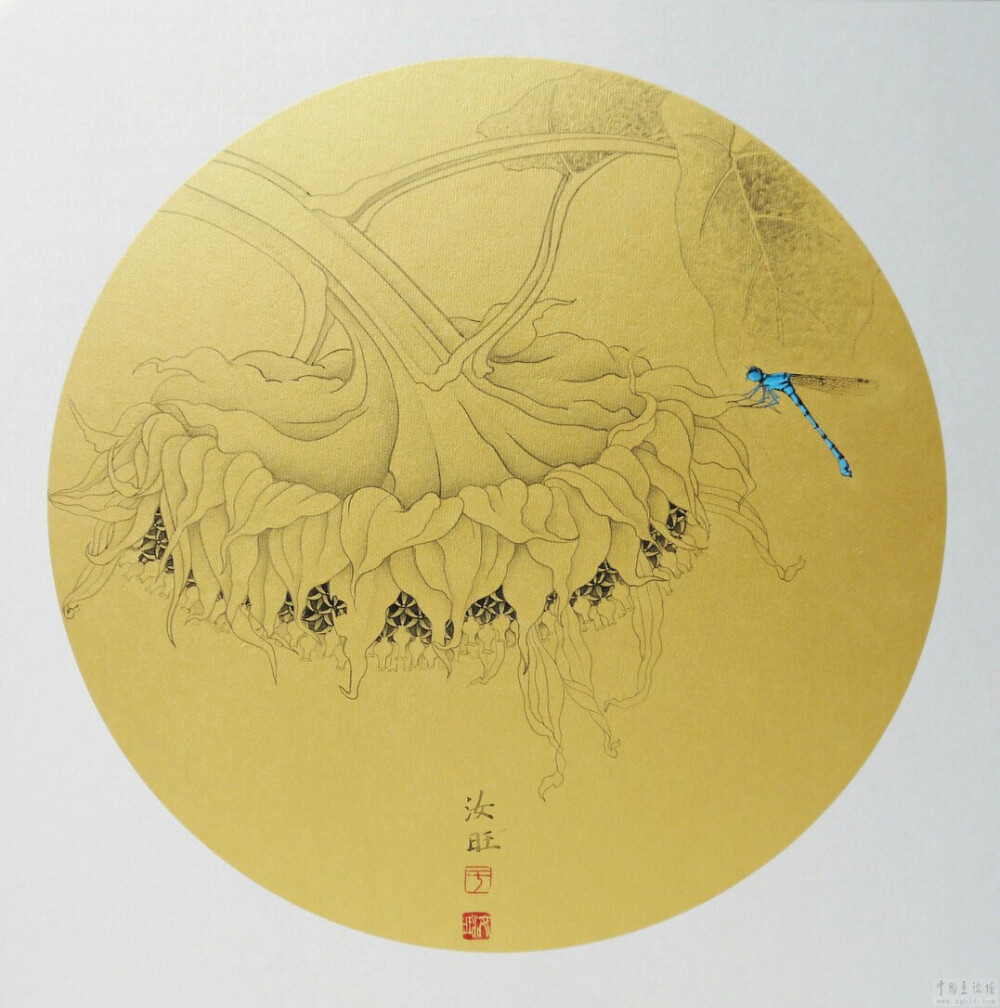 葵