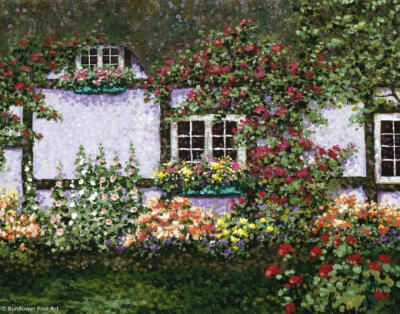 秘密花园 唯美 插图 意境 插画