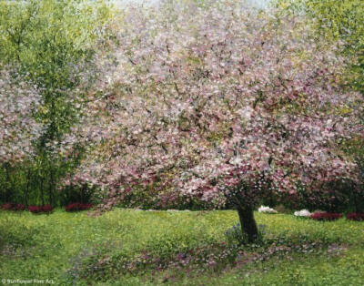 秘密花园 唯美 插图 意境 插画