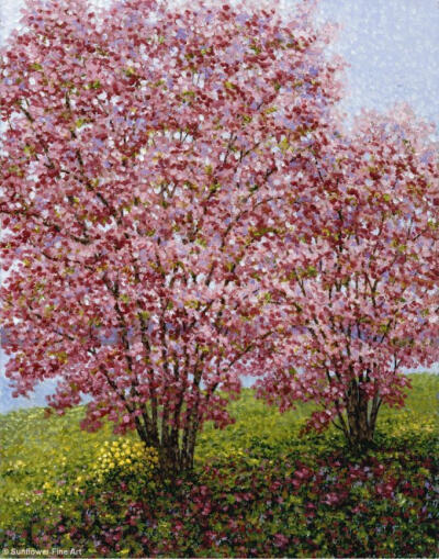 秘密花园 唯美 插图 意境 插画