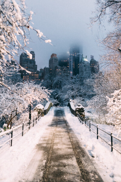 Winter in New York City, USA(by ilitchpeters)。美国纽约市的冬天。
