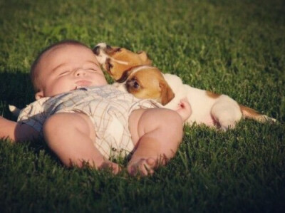 当宝宝身边多了只呆宠后 一起睡 一起呆 一起玩 有爱的一对玩伴♡