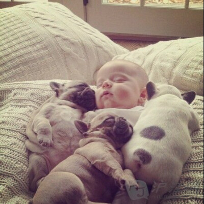 当宝宝身边多了只呆宠后 一起睡 一起呆 一起玩 有爱的一对玩伴♡