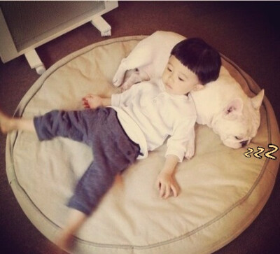 当宝宝身边多了只呆宠后 一起睡 一起呆 一起玩 有爱的一对玩伴♡