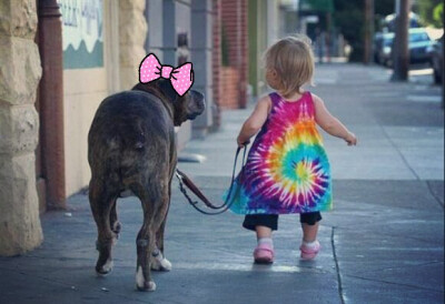 当宝宝身边多了只呆宠后 一起睡 一起呆 一起玩 有爱的一对玩伴♡