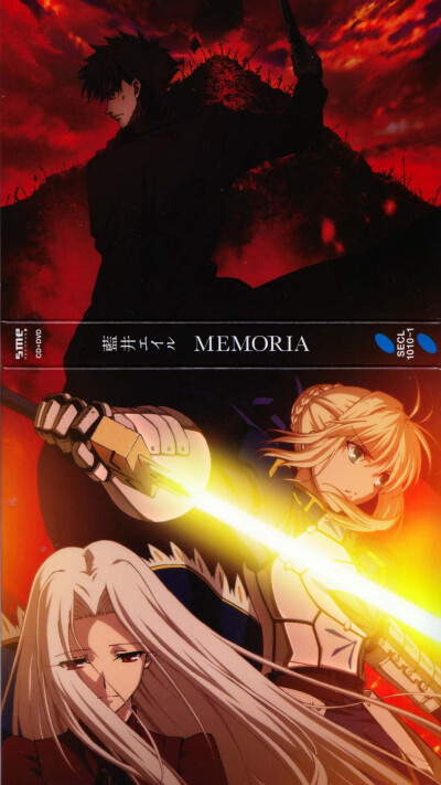 fate zero