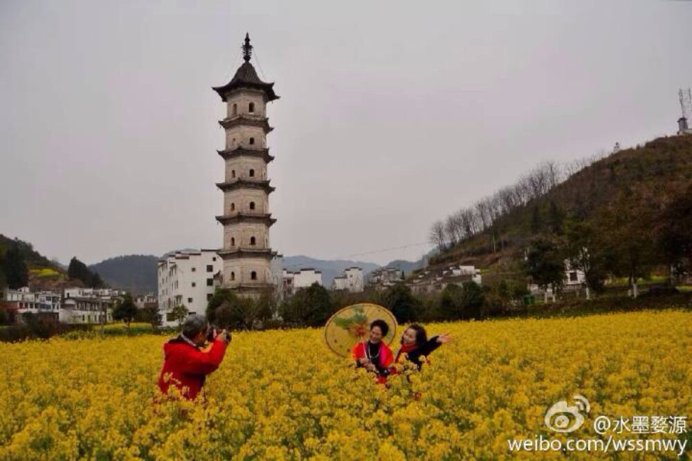  【2015年3月13日婺源油菜花即时情报】婺源今天晴转多云，最高气温18度。据小编近日实地考察，目前婺源田园油菜花已进入全面开放，最佳观赏期在3月10日-3月底；高山梯田油菜花也已进入开放期，最佳观赏期在3月15日-4月10日。图为江岭、篁岭、庆源、洪村、浙源、汪口等地 拍摄时间：2015年3月10日-13日