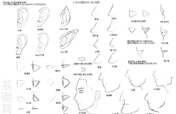 五官手绘教程。