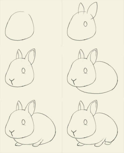#绘画参考# #动物结构# #兔子# 来一起画兔子吧~