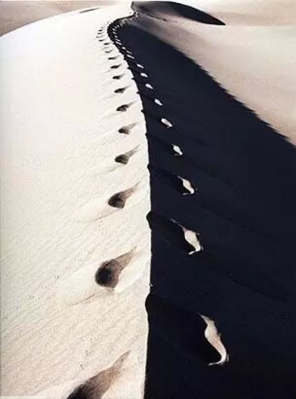 『 自然界最纯粹的颜色 -- 黑与白 』