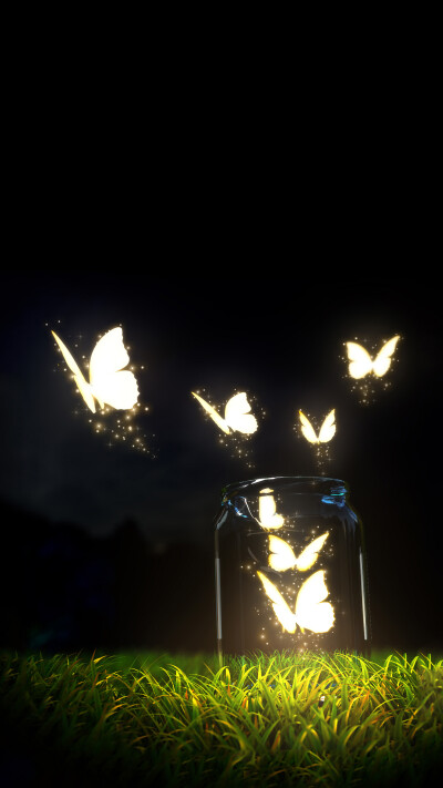 黑夜舞蝶