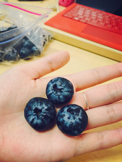 从食堂偷回来的大得吓人的蓝莓