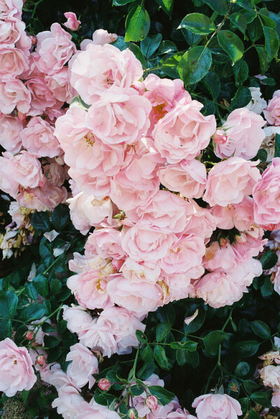 我们是微茫的存在，折射出心里每一丝憧憬和每一缕不甘