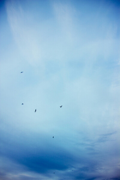 我们是微茫的存在，折射出心里每一丝憧憬和每一缕不甘