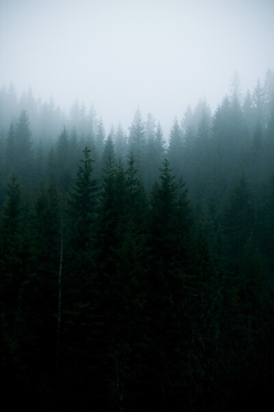 我们是微茫的存在，折射出心里每一丝憧憬和每一缕不甘