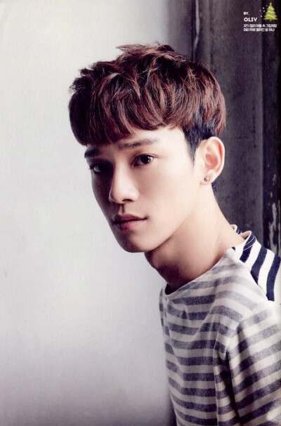 EXO Chen 金钟大