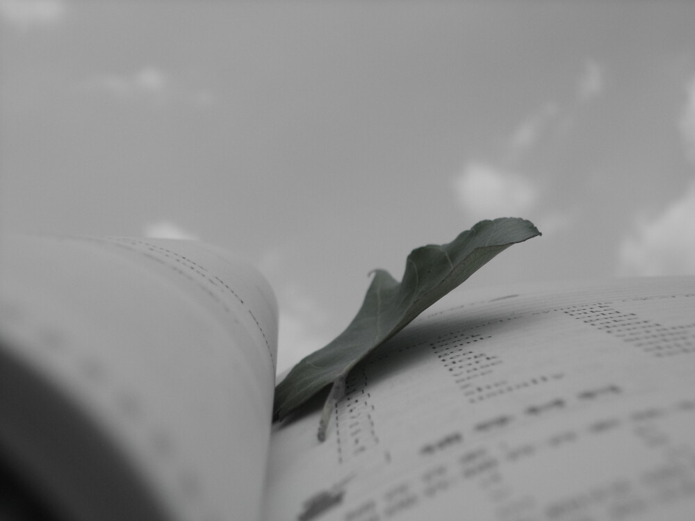 曾经的时光