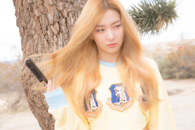 red velvet / ice cream cake / seulgi