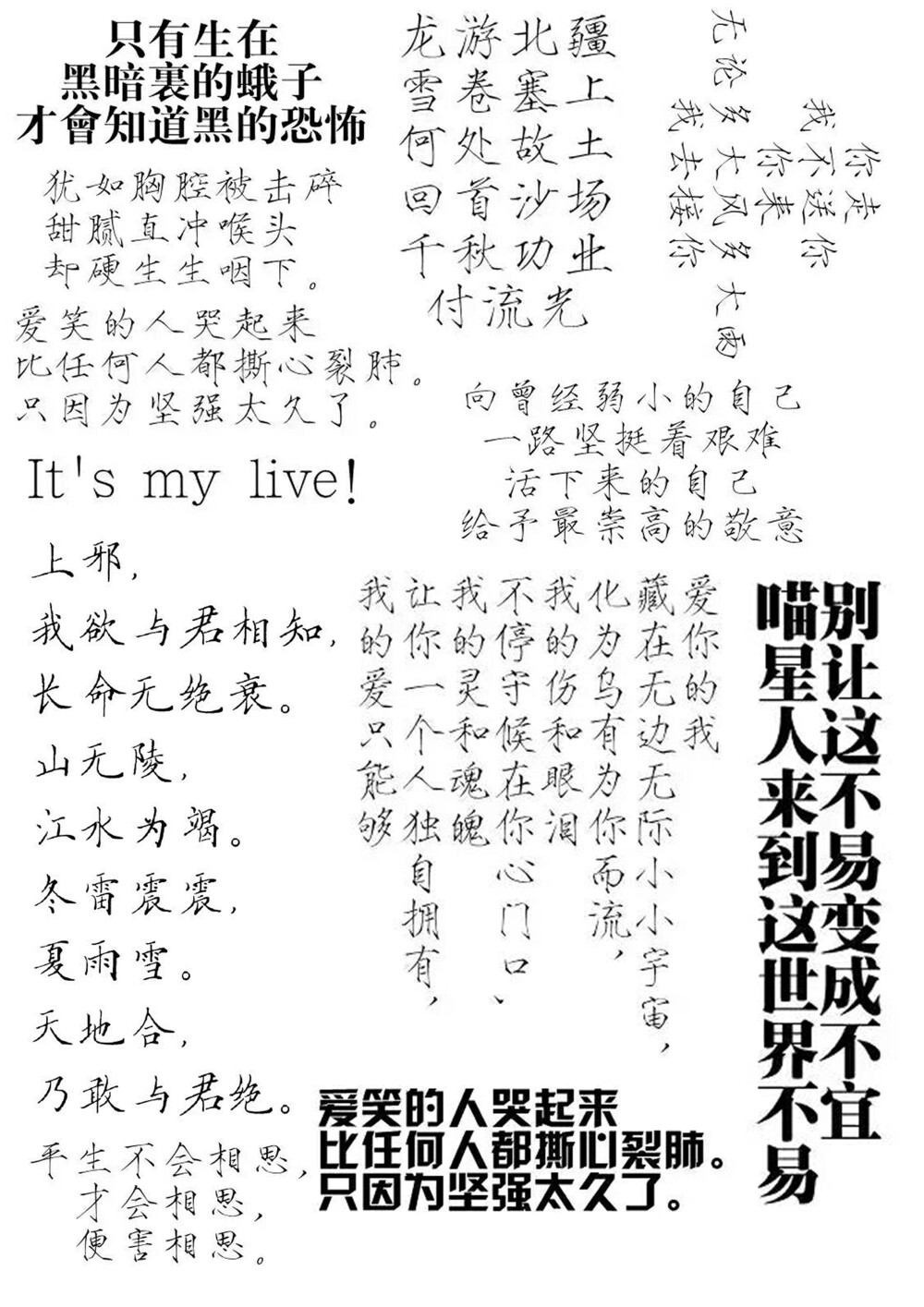 陆二狗橡皮章素材排版