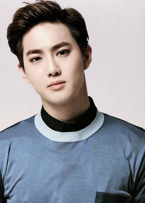 金俊绵 exo suho